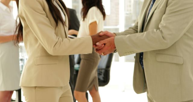 Business handshake in professional office setting - Download Free Stock Images Pikwizard.com