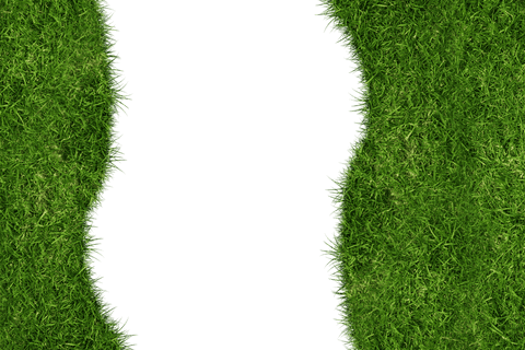 green grass border on transparent background holiday concept - Download Free Stock Videos Pikwizard.com