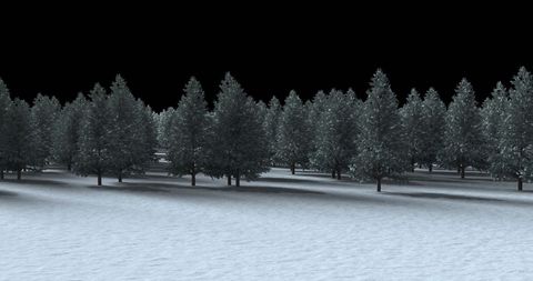 Sparkling Purple Light Over Snowy Pine Forest at Night