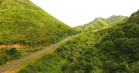 Transparent green landscape with winding road and rolling hills
