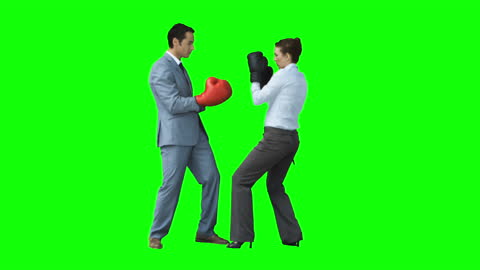 Business Colleagues Playfully Sparring in Office Attire