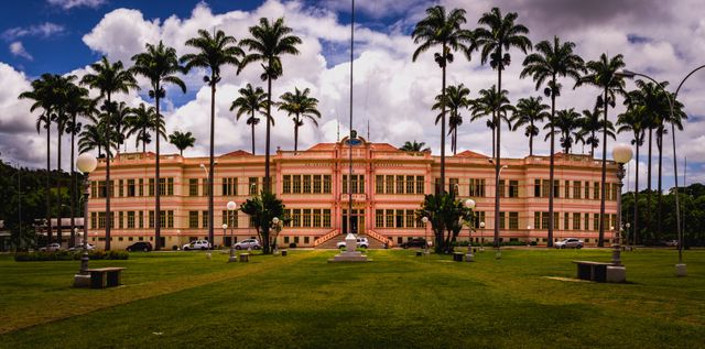 Elegant colonial architecture highlighted by tall palm trees and set beneath a cloudy sky. This expertly symmetrical structure is framed by a well-kept lawn, making this urban landmark stand out. Ideal for travel guides, tourism brochures, or articles emphasizing historical locations and architecture.