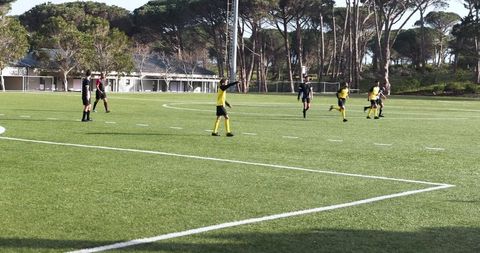 Soccer Players Celebrating Victory on Sunny Day