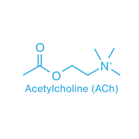 acetylcholine molecule illustration on transparent background for science - Download Free Stock Videos Pikwizard.com