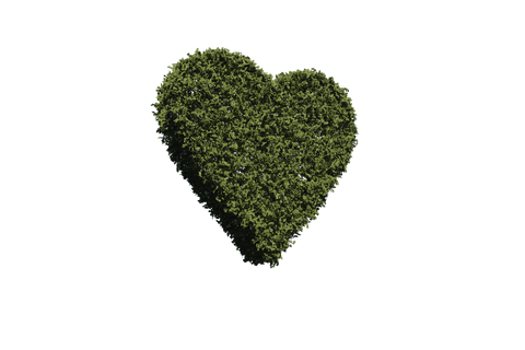 heart shaped grass design on transparent background for nature lovers - Download Free Stock Videos Pikwizard.com