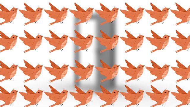 The seamless pattern of animated orange birds flying over a white background is ideal for use in digital illustrations, graphic designs, and as a cheerful theme background for websites or presentation slides. Great for nature-themed projects or joyful branding elements.