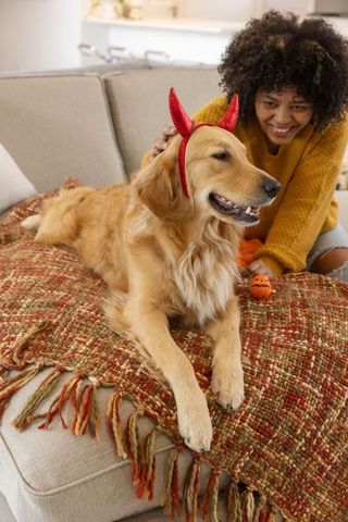 Smiling woman petting golden retriever wearing red devil horns while holding pumpkin toy