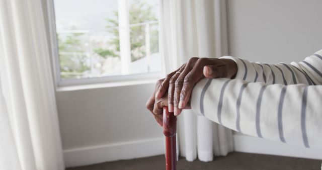 Senior Person’s Hands Leaning on Walking Stick in Bright Room - Download Free Stock Images Pikwizard.com