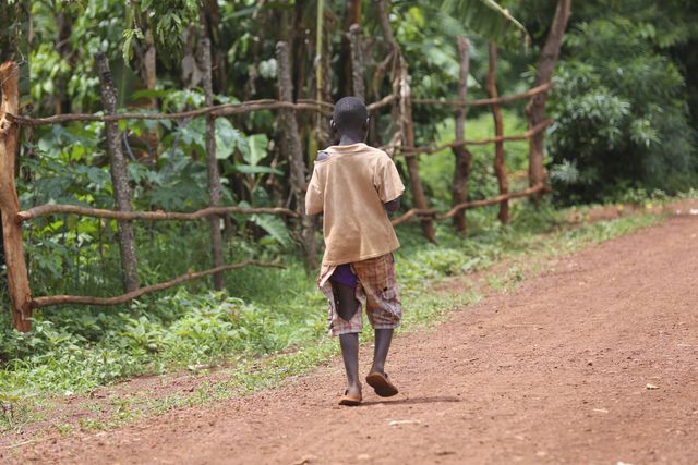 Child walking along a dirt road with wooden fence and green surroundings, experiencing solitude and nature. This image is ideal for storytelling, charity campaigns, travel blogs, or depicting rural life and childhood simplicity.