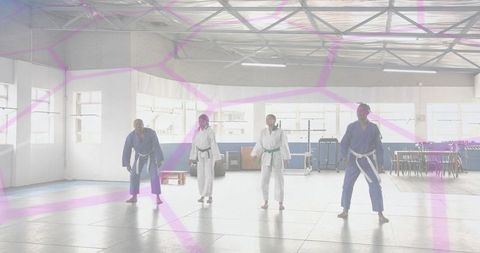 Four Martial Artists Practicing Stances in Bright Dojo Wearing Gis and Colored Belts