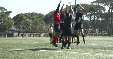 Soccer Players Celebrating Victory on Sunny Field