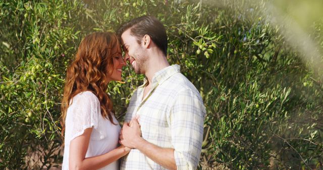 A young Caucasian couple is affectionately embracing in a sunlit olive grove, with copy space. Their intimate moment amidst the trees suggests a romantic connection and the beauty of nature as a backdrop for love.