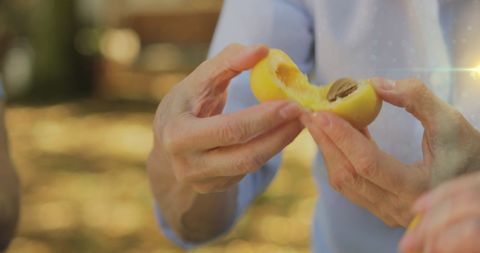 Hands preparing fresh plums in outdoor setting