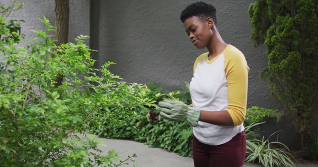 Woman Pruning Bush in Garden with Gloves - Download Free Stock Images Pikwizard.com