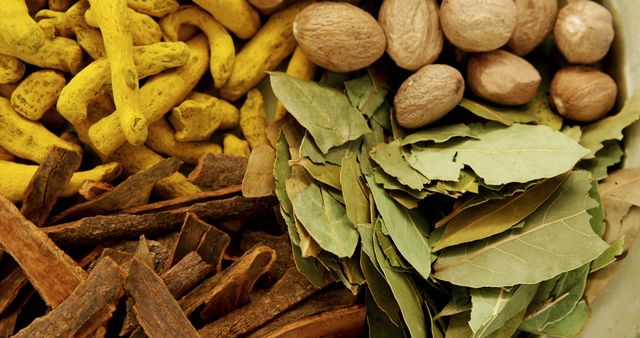 Assortment of Organic Spices and Herbs in Close-Up - Download Free Stock Images Pikwizard.com