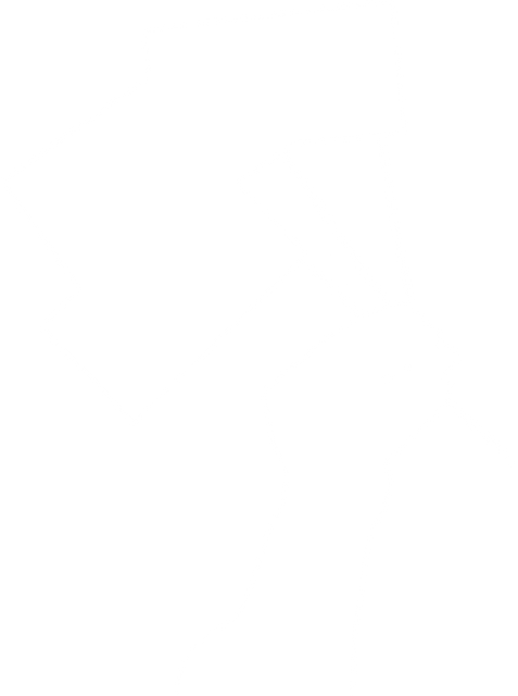 Transparent Silhouette in White of Hand Holding Flags - Download Free Stock Videos Pikwizard.com