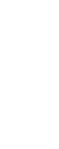 Transparent Silhouette of Woman Stretching for Fitness Exercises