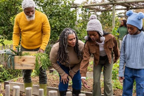 Multigenerational family harvesting fresh vegetables from raised garden beds