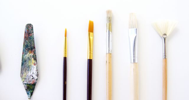 Includes various artist brushes and palette knife arranged neatly on white background. Useful for themes related to painting, artists at work, and creativity. Suitable for art blog posts, online stores selling art supplies, and educational content focused on different brush types and their uses.