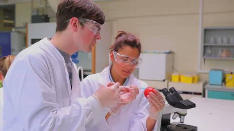 Students Conducting Tomato Experiments in Science Lab