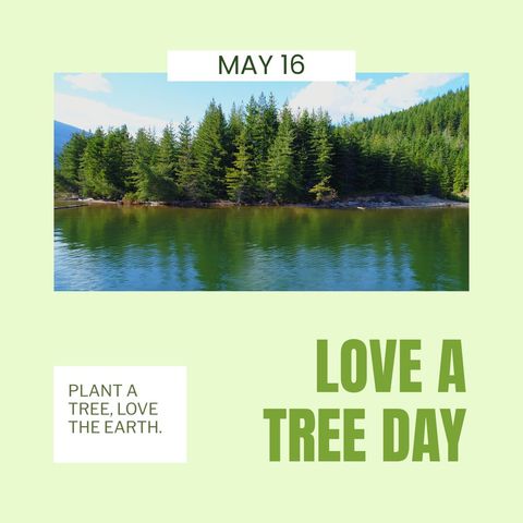 Love a Tree Day Forest Scenic Natural Inspiration - Download Free Stock Templates Pikwizard.com