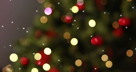 Colorful Christmas Tree Lights with Snowflake Overlay - Download Free Stock Images Pikwizard.com