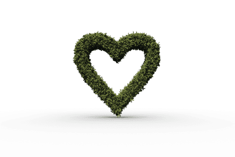 Floating Green Heart of Grass on Transparent Background - Download Free Stock Videos Pikwizard.com