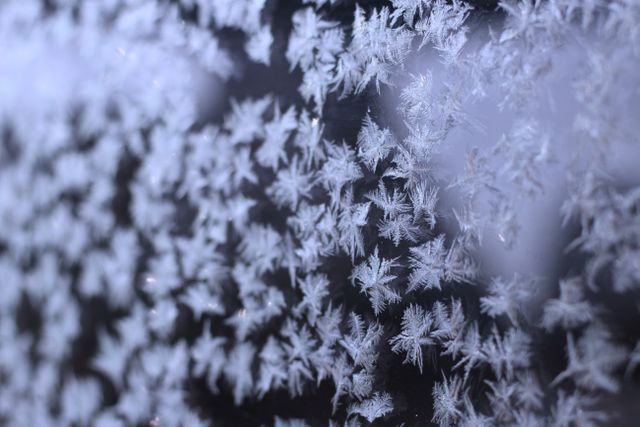 Close-Up of Frost Patterns on Window During Winter - Download Free Stock Photos Pikwizard.com