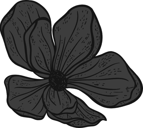 Hand-drawn Veined Flower with Dark Gray Petals on Transparent Background