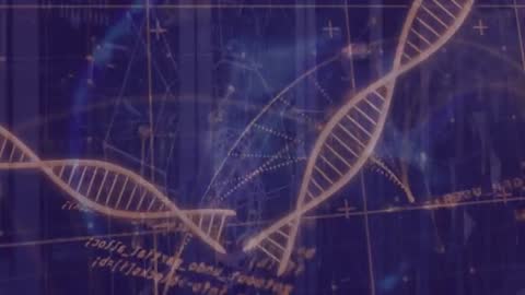 Digital DNA Helices with Global Network Interface