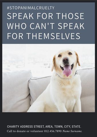 joyful labrador promoting animal rights awareness - Download Free Stock Templates Pikwizard.com