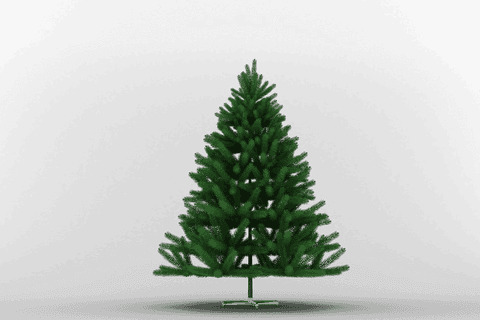 Festive Green Christmas Tree on Transparent Background - Download Free Stock Videos Pikwizard.com