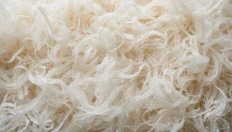 Tangled translucent glass noodle texture macro background for culinary and abstract use