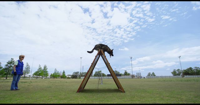 German Shepherd performing agility training on A-frame equipment in open park. Useful for themes related to dog training, outdoor activities, canine agility sports, and professional dog obedience training.