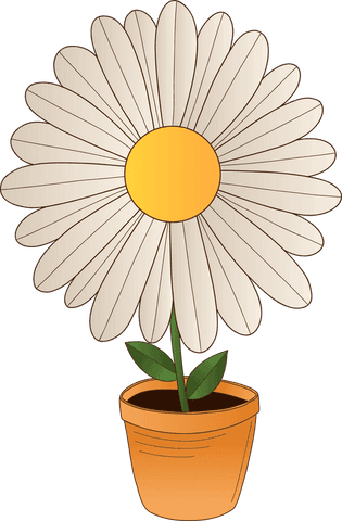 Transparent White Daisy in Clay Pot on Transparent Background