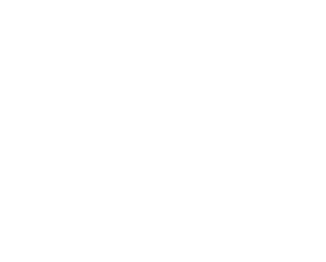 Transparent Silhouette of Sportswoman with Exercise Ball - Download Free Stock Videos Pikwizard.com