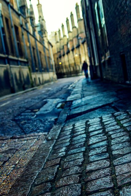 Showing a narrow alley with a cobblestone path lined with historical buildings, this image highlights the architectural charm and timeless beauty of the city. The wet, reflective pavement and the off-angle perspective enhance the atmospheric feel. Ideal for use in travel brochures, websites featuring historical cities, urban studies presentations, or blogs detailing city adventures and history.