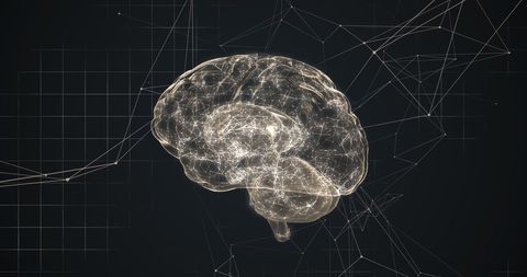 3D Human Brain Glowing with Network Connections on Dark Background - Download Free Stock Images Pikwizard.com