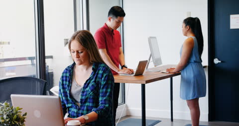 Diverse Office Scene with Professionals Using Computers