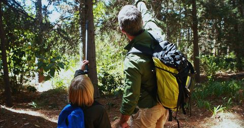 Father and Child Hiking in Sunlit Forest - Download Free Stock Images Pikwizard.com