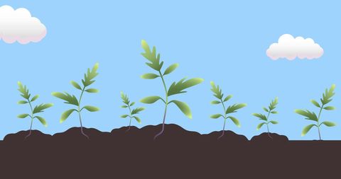 Illustration of Young Green Plants Growing in Soil with Blue Sky Background