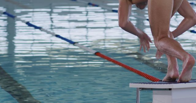 Female Swimmer Diving into Pool for Practice - Download Free Stock Images Pikwizard.com