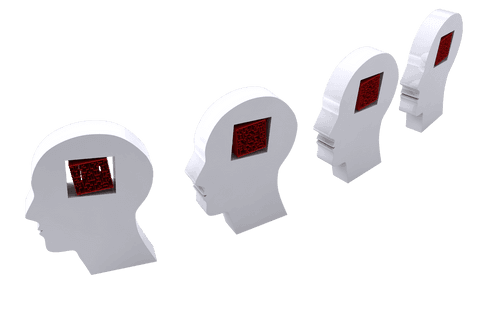 Digitally Rendered Transparent Human Heads with Labyrinth Patterns - Download Free Stock Videos Pikwizard.com