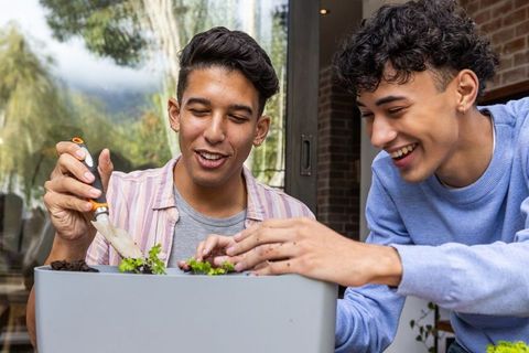 Joyful friends gardening together on sunny balcony