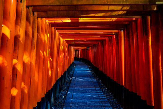 Traditional Japanese torii gates along a path, illuminated by sunset, casting vibrant shadows creating a cultural and serene atmosphere. Ideal for travel brochures, cultural exploration content, or Japanese architecture and tradition themes.