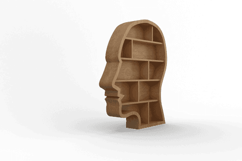 transparent wooden bookshelf in human face silhouette - Download Free Stock Videos Pikwizard.com