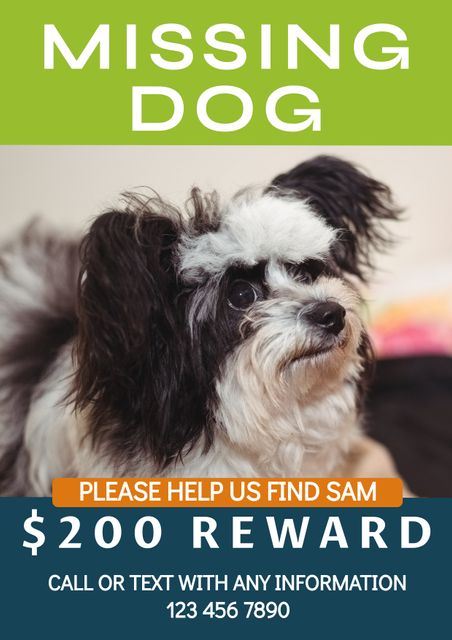 Poster featuring missing dog with contact details and reward information. Ideal for pet rescue centers, animal shelters, and community message boards to help locate lost pets. Provides essential details clearly to aid in the search effort.
