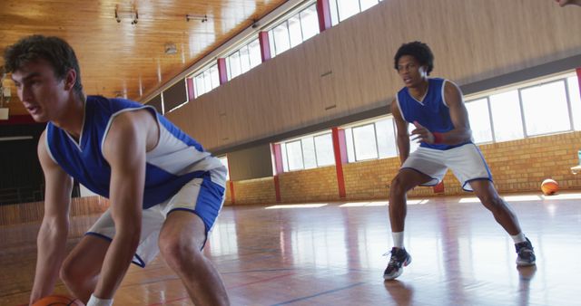Two athletes practicing basketball drills in a gymnasium, wearing blue and white sports uniforms. The players demonstrate focus and determination as they perform training exercises. Ideal for use in articles about basketball training, sports fitness, teamwork in sports, and athletic practice routines.