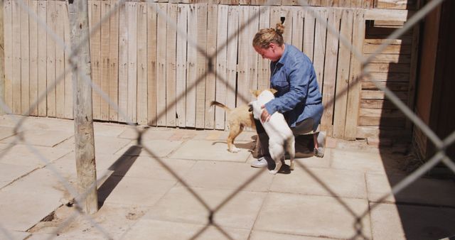 A woman, dressed in casual blue denim clothing, is interacting joyfully with two playful puppies behind a wire mesh fence. One puppy has a white coat while the other has a brown coat. The scene suggests themes of pet adoption, care, and animal welfare. This visual can be used for promoting animal shelters, pet adoption campaigns, and dog care services.