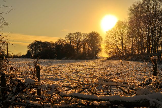Serene winter scene with a brilliant sunset casting a warm glow over a snow-covered field and bare trees. Ideal for use in seasonal promotional materials, winter greeting cards, nature blogs, and outdoor activity websites.